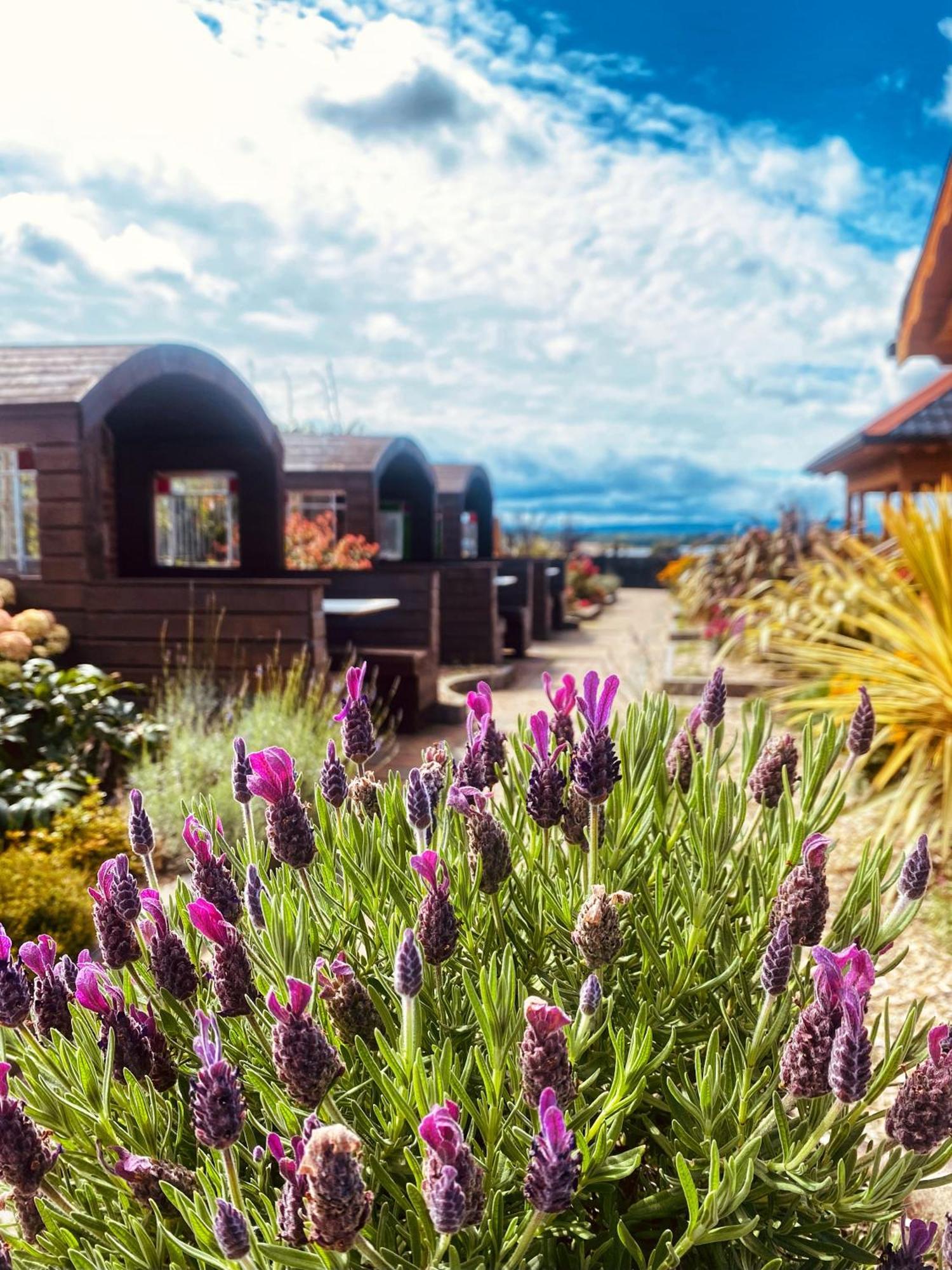 Dulrush Lodge Guest House, Restaurant And Self-Catering Белийк Екстериор снимка
